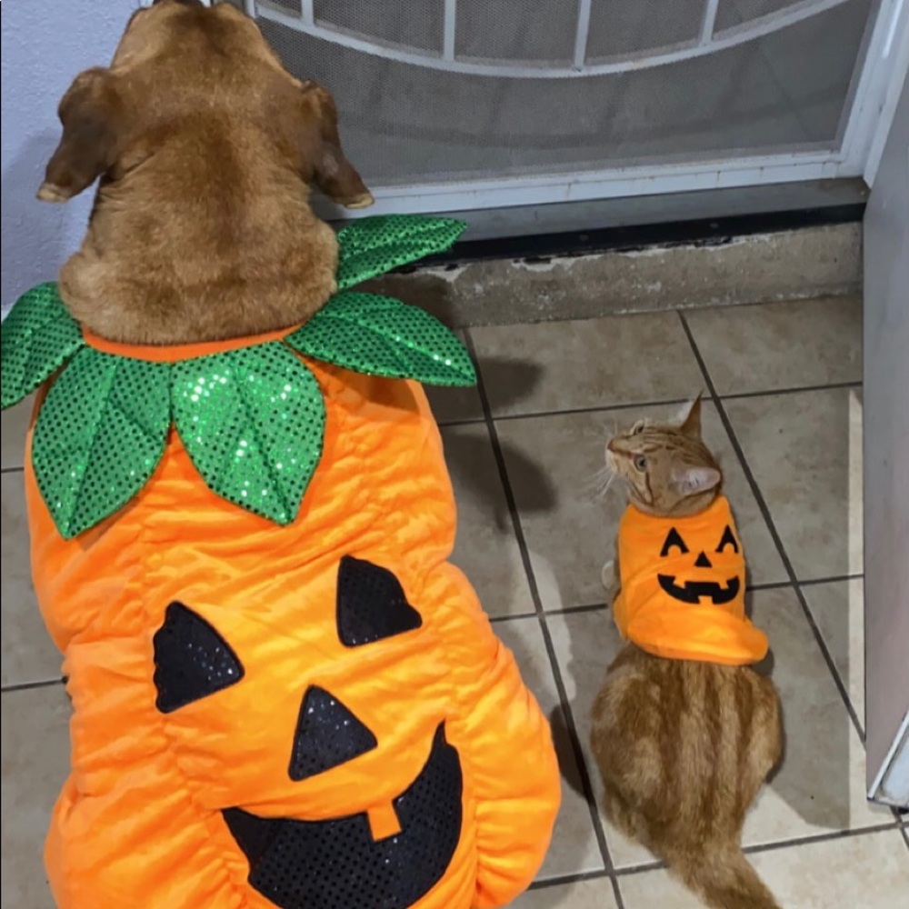 Meet your Posher, Alma